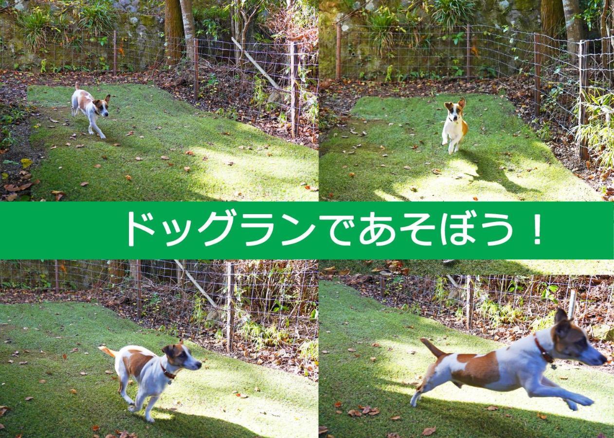 Villa Liberte Hakone Gora المظهر الخارجي الصورة